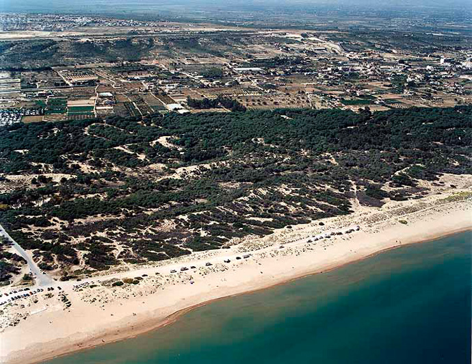 El Tiempo en Playa de El Rebollo Elche Alicante Valenciana)