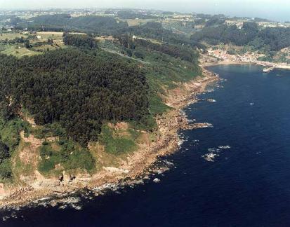 Tazones - Foto  1