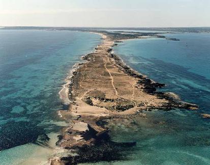 Platja de Llevant - Foto  6
