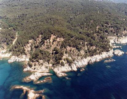 Cala d'en Carlos - Foto  2