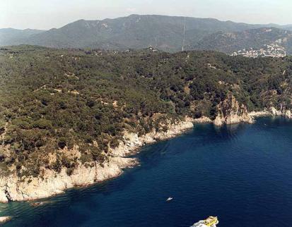 Cala d'en Carlos - Foto  3