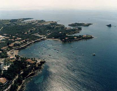 Ses Oliveres - Foto  3