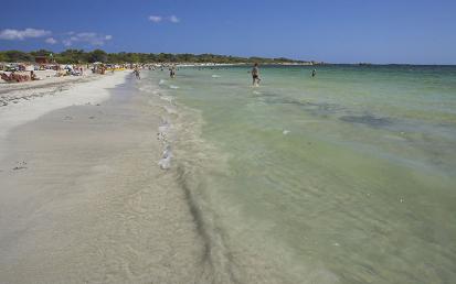 Platja d'es Dolç - Foto  3