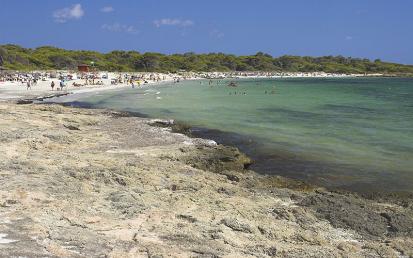 Platja d'es Dolç - Foto  1