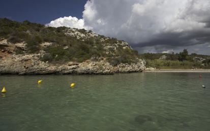 Es Canutells - Foto  10