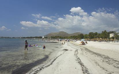 Alcudia - Foto  12
