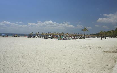 Alcudia - Foto  14