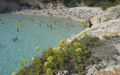 Cala Mitjana - Foto  3