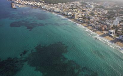 Ca'n Picafort - Foto  10