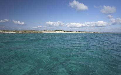 Platja de Llevant - Foto  14