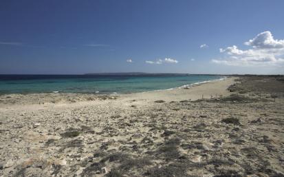 Platja de Llevant - Foto  11