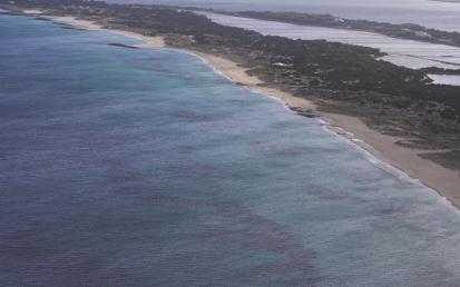 Platja de Llevant - Foto  15