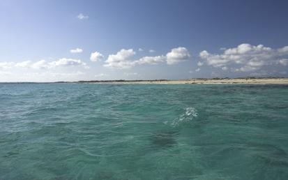 Platja de Llevant - Foto  12