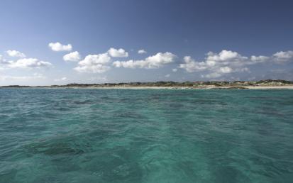 Platja de Llevant - Foto  13