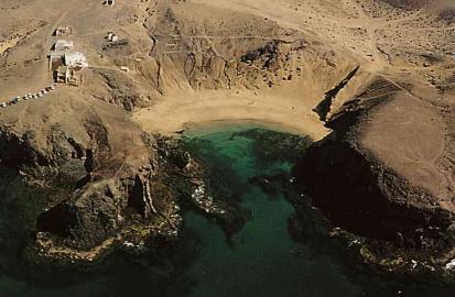 El Papagayo - Foto  1