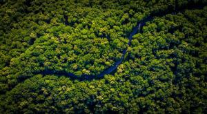 El Amazonas registra el septiembre con menos incendios de los últimos 20 años