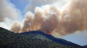 Incendios en verano 2021 en España: ¿cómo se esperan?